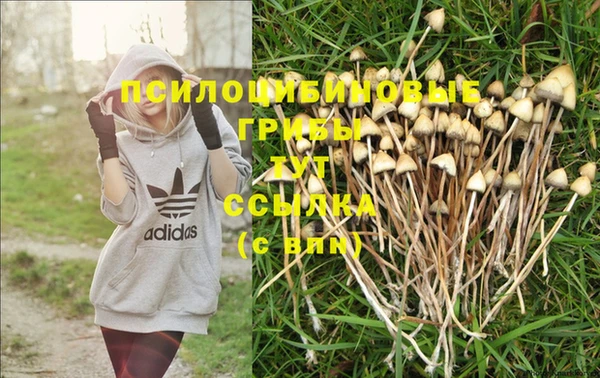 герыч Пенза