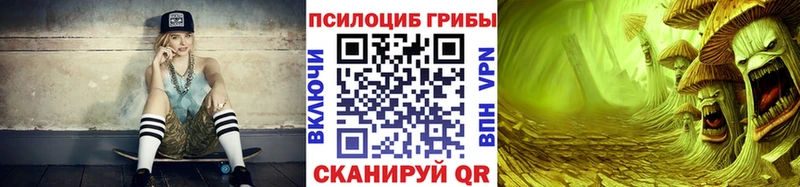 где купить наркоту  Билибино  Галлюциногенные грибы Psilocybe 