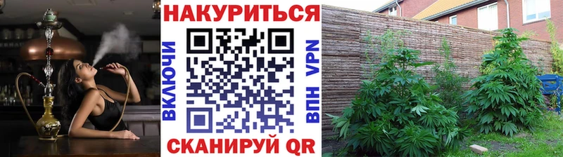 МАРИХУАНА план  Билибино 